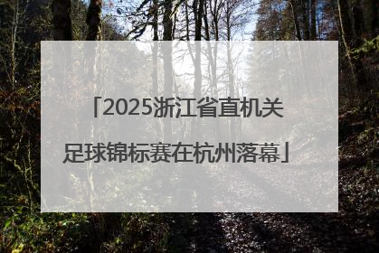 2025浙江省直机关足球锦标赛在杭州落幕
