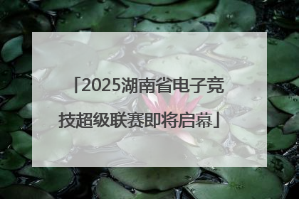 2025湖南省电子竞技超级联赛即将启幕