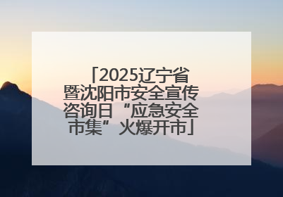 2025辽宁省暨沈阳市安全宣传咨询日“应急安全市集”火爆开市