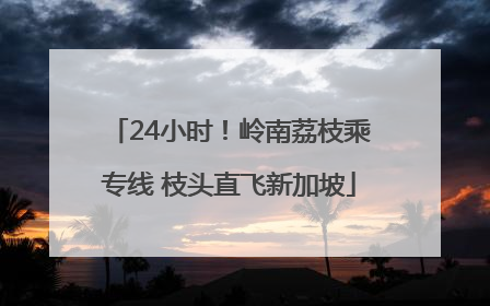 24小时！岭南荔枝乘专线 枝头直飞新加坡