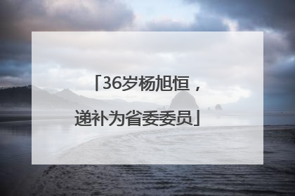 36岁杨旭恒，递补为省委委员