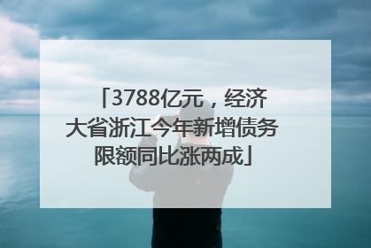 3788亿元，经济大省浙江今年新增债务限额同比涨两成