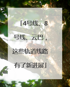 4号线、8号线、云巴，这些轨道线路有了新进展