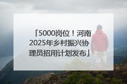 5000岗位！河南2025年乡村振兴协理员招用计划发布