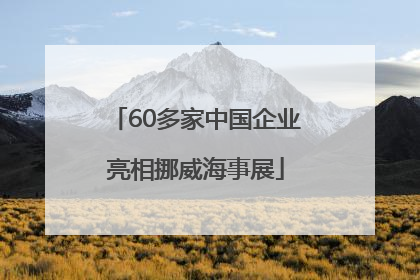 60多家中国企业亮相挪威海事展