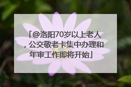 @洛阳70岁以上老人，公交敬老卡集中办理和年审工作即将开始