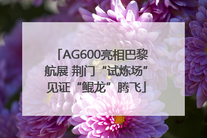 AG600亮相巴黎航展 荆门“试炼场”见证“鲲龙”腾飞