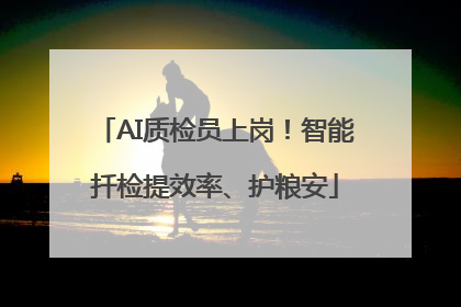 AI质检员上岗！智能扦检提效率、护粮安