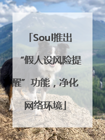 Soul推出“假人设风险提醒”功能，净化网络环境