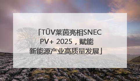 TÜV莱茵亮相SNEC PV+ 2025，赋能新能源产业高质量发展
