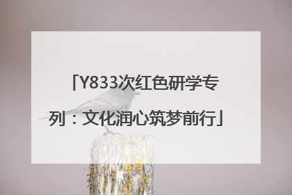 Y833次红色研学专列：文化润心筑梦前行