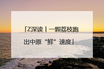 Z深读丨一颗荔枝跑出中原“鲜”速度